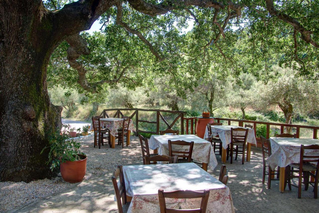 Antartisa B&B Limni  Exterior foto