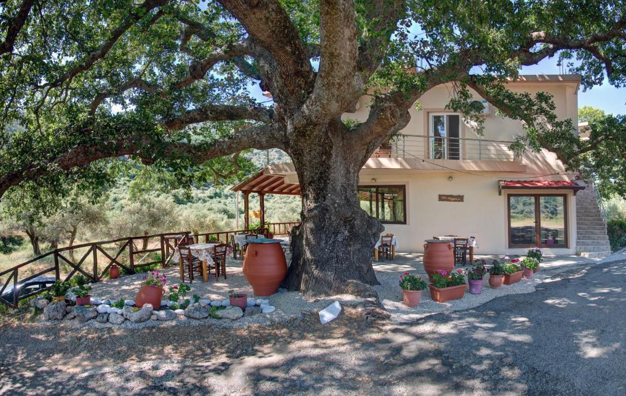 Antartisa B&B Limni  Exterior foto