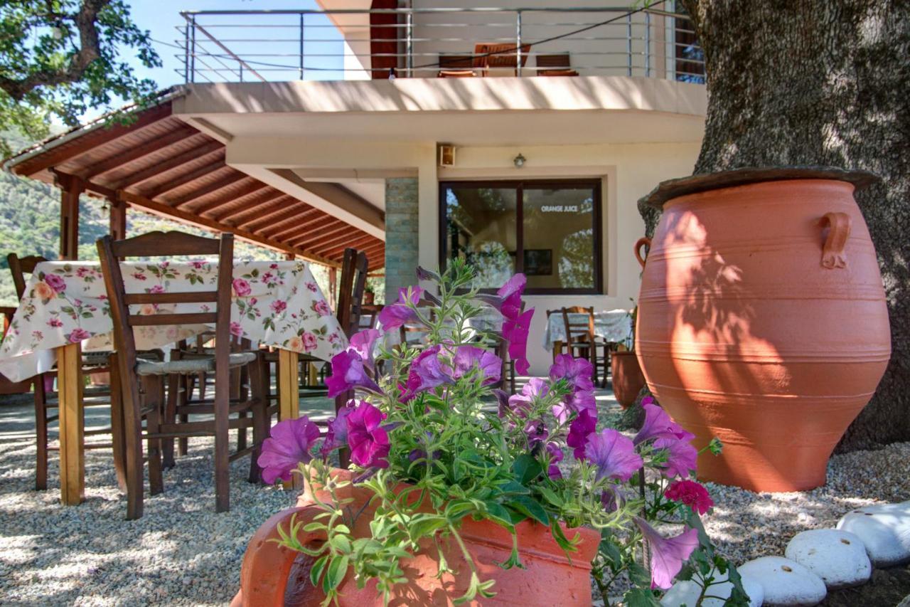Antartisa B&B Limni  Exterior foto