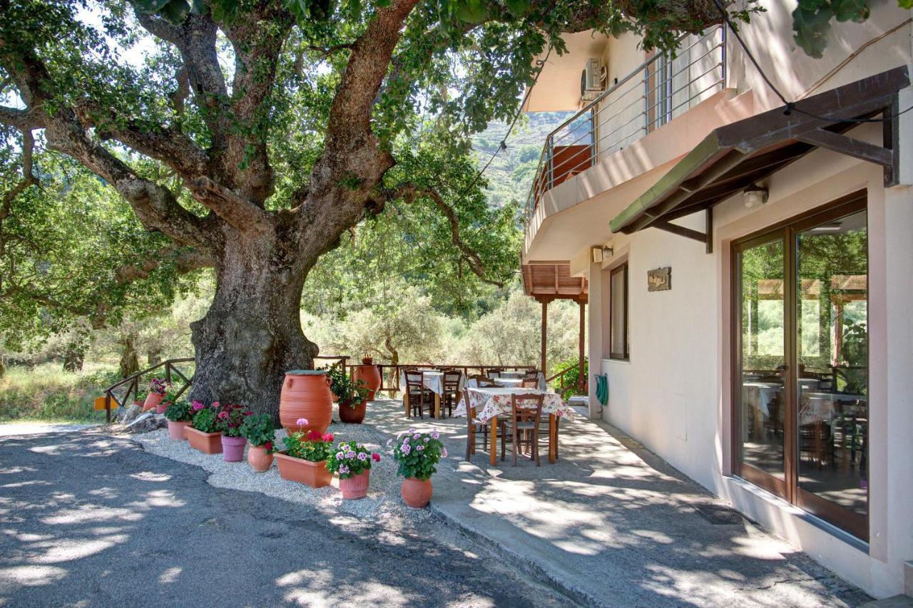 Antartisa B&B Limni  Exterior foto