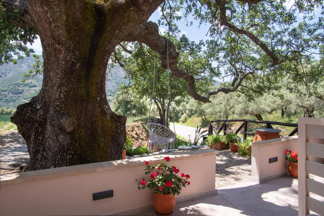 Antartisa B&B Limni  Exterior foto