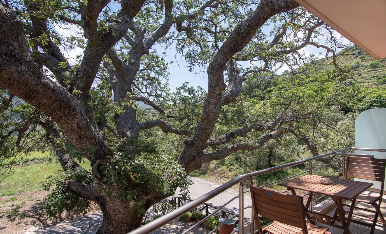 Antartisa B&B Limni  Exterior foto