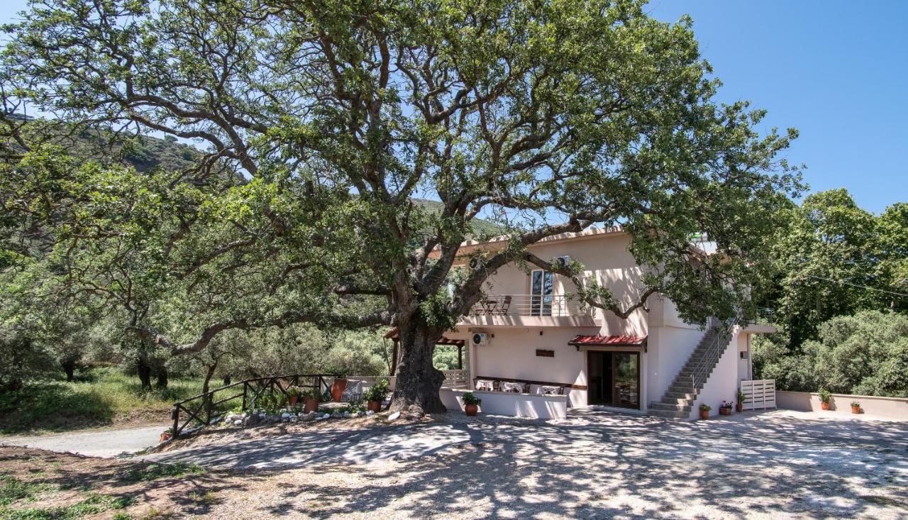 Antartisa B&B Limni  Exterior foto